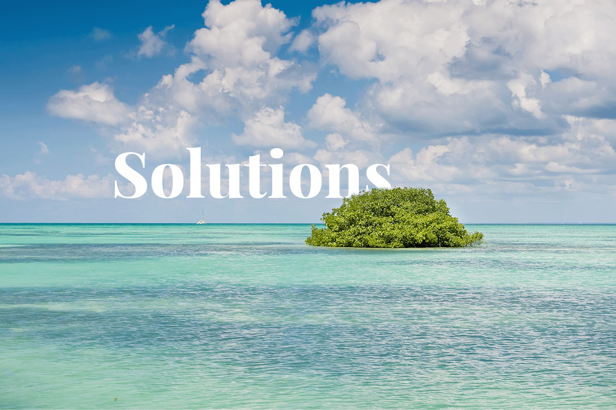 Haiti's deforestation causes, consequences, and solutions